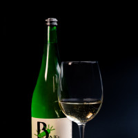 Weißer Hof-Wein, Grüner Veltliner trocken, direkt vom Weingut Baier, Weinviertel, fruchtig und leicht
